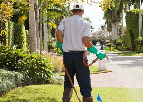 About Alloy WV Pest Control